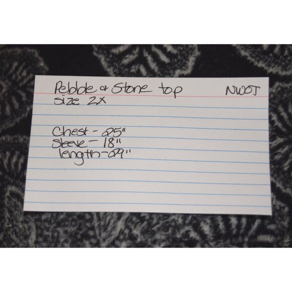 Pebble & Stone Shimmery Cream Stretch Velvet Top size 2X - Picture 4 of 4